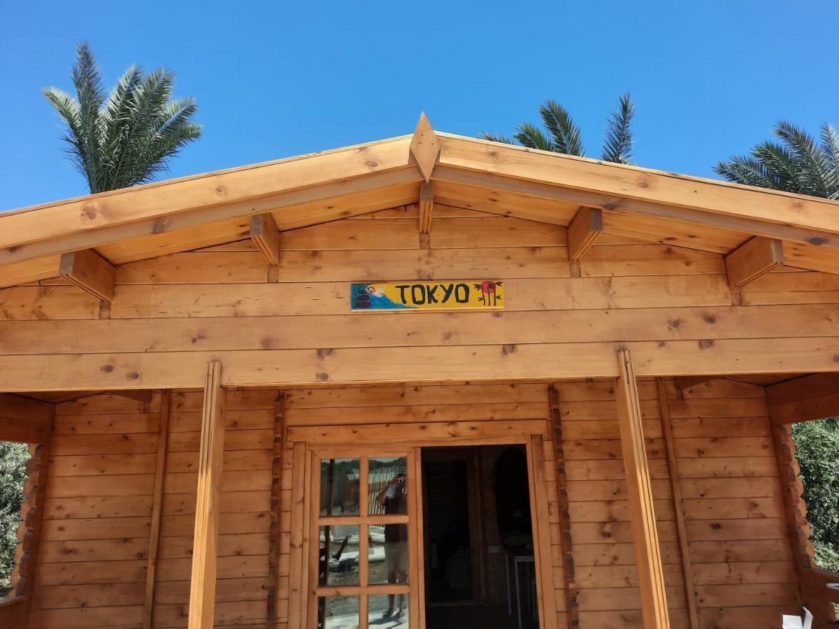 Cyprus Glamping Park Hotell Agios Theodoros Eksteriør bilde