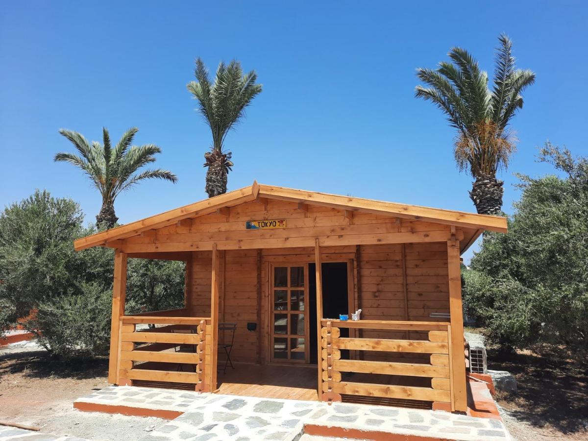 Cyprus Glamping Park Hotell Agios Theodoros Eksteriør bilde