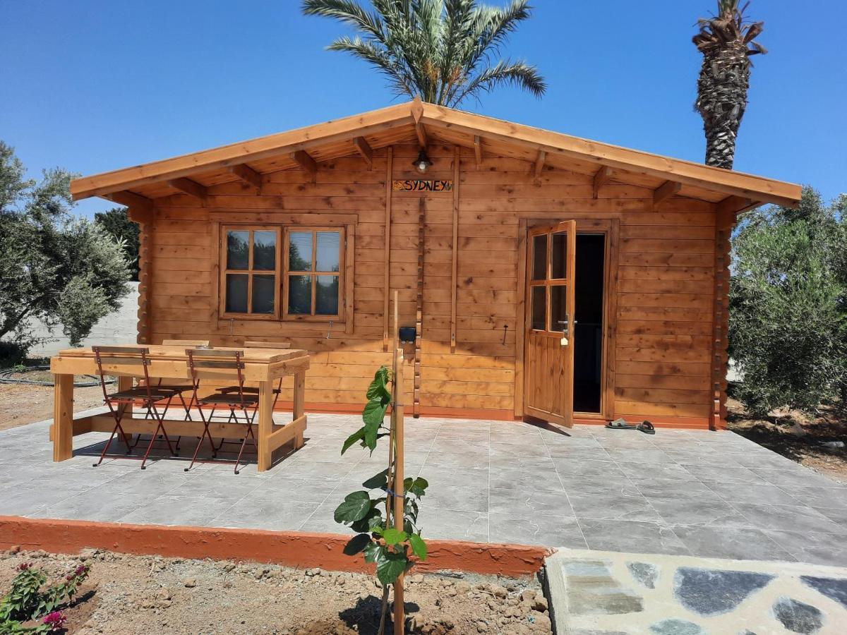 Cyprus Glamping Park Hotell Agios Theodoros Eksteriør bilde